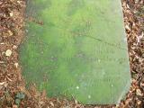 image of grave number 177592